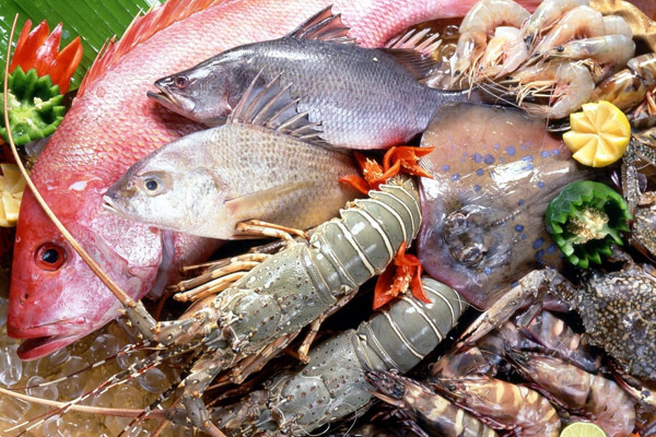 Фестиваль рыбы и морепродуктов пройдёт в Комарово