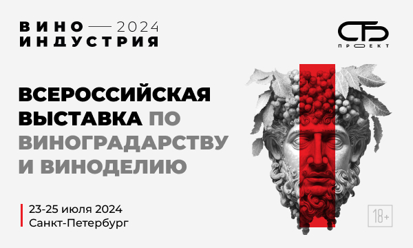 Виноиндустрия 2024: всероссийская выставка для бизнеса и культурного досуга