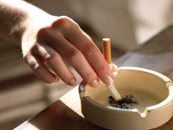 Бельгийские рестораторы против запрета на курение