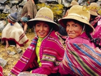 В Перу отныне – сухой закон