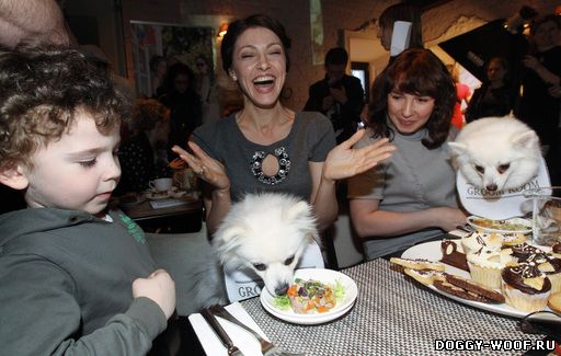В Москве продолжает успешно работать ресторан для собак