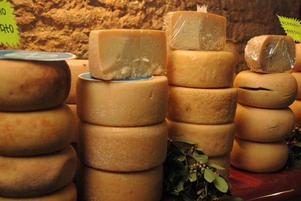 Лучший сыр производят в Голландии