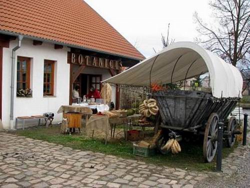 Исторический фестиваль близ чешской столицы предложит туристам дегустацию блюд