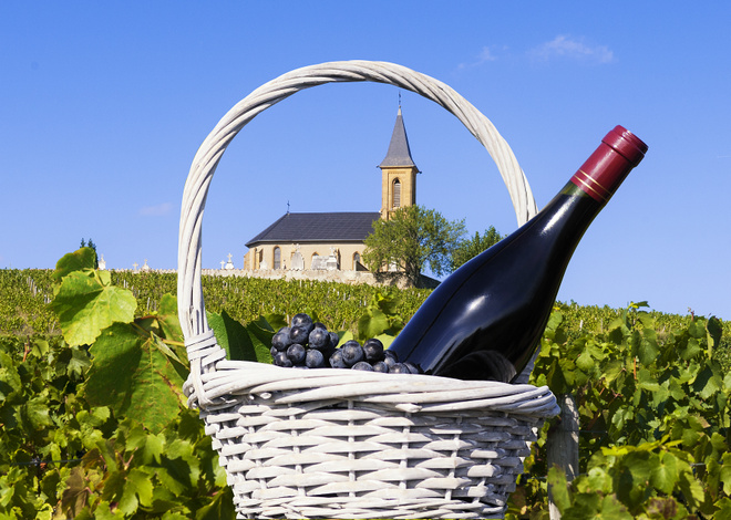 Стартовали продажи знаменитого французского вина Божоле Нуво