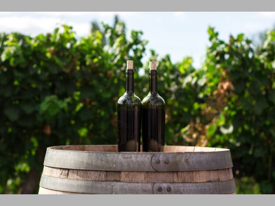 Виноиндустрия 2024: о перспективах продвижения отечественного виноделия