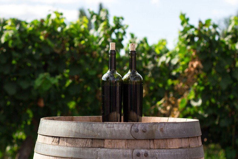Виноиндустрия 2024: о перспективах продвижения отечественного виноделия