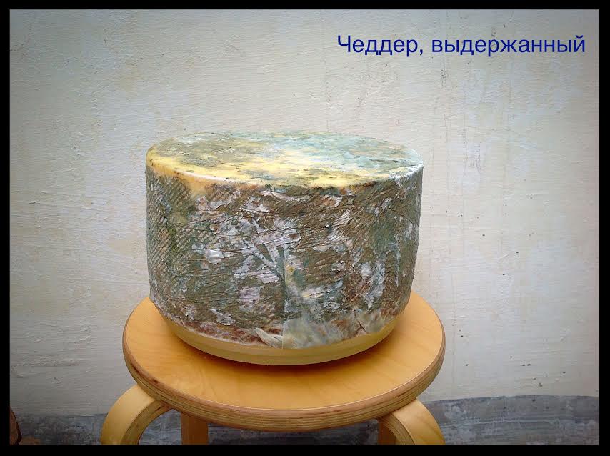 Сыр, произведенный на сыроварне Евгения Золотарева