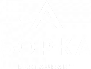 Логотип: Sopka