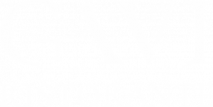 Логотип: Gavi