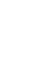 Логотип: Picasso