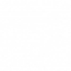 Логотип: host